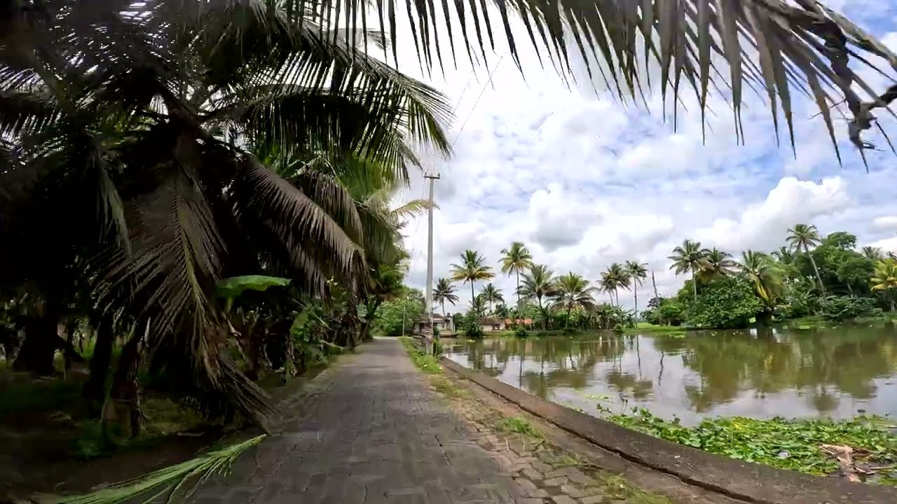 Kumarakom, Kerala 🔥 Gods Own Country 🔥 Backwater Kerala 🔥 Beautiful Village Roads 🔥 4K - 60 FPS