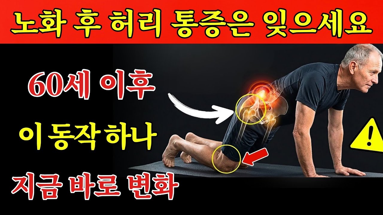 60세 이상이라면? 허리 통증에 꼭 필요한 단 3가지 운동 | 시니어 건강