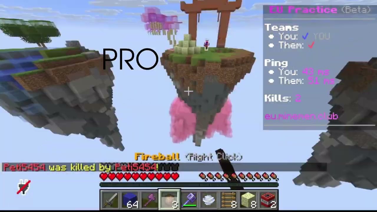 NOOB VS PRO