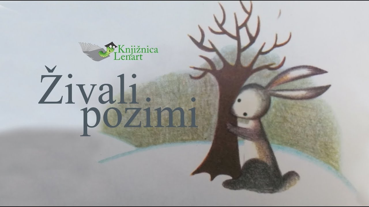 Živali pozimi
