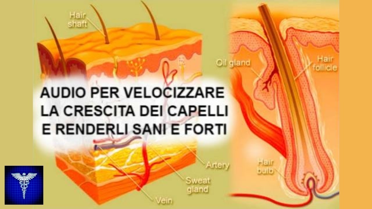 AUDIO PER RIGENERARE E RINFORZARE I CAPELLI - TONI BINAURALI E ISOCRONICI, AFFERMAZIONI SUBLIMINALI