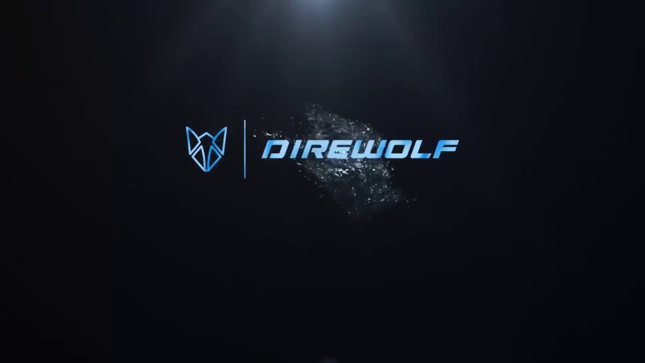 Direwolf Libra 27.5 MTB XC Carbon frame!