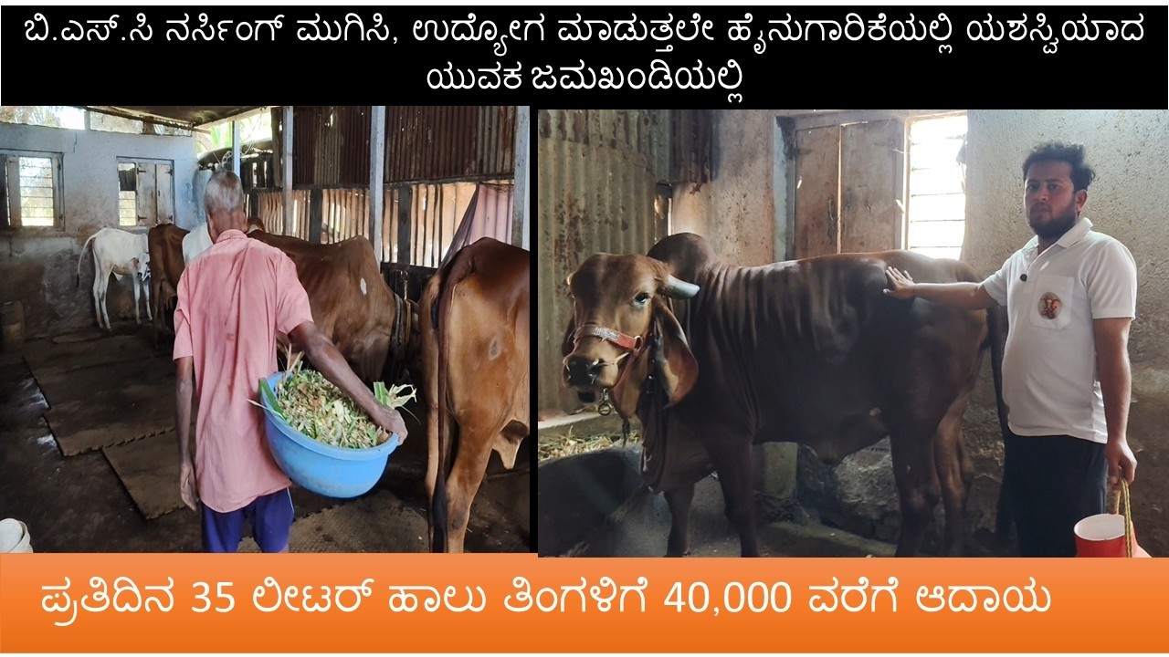 BSc Nursing ಮುಗಿಸಿ ಹೈನುಗಾರಿಕೆಯಲ್ಲಿ ಯಶಸ್ಸು | ದಿನಕ್ಕೆ 40 ಲೀಟರ್ ಹಾಲು ತಿಂಗಳಿಗೆ ₹35,000 ಆದಾಯ | Dairy farm
