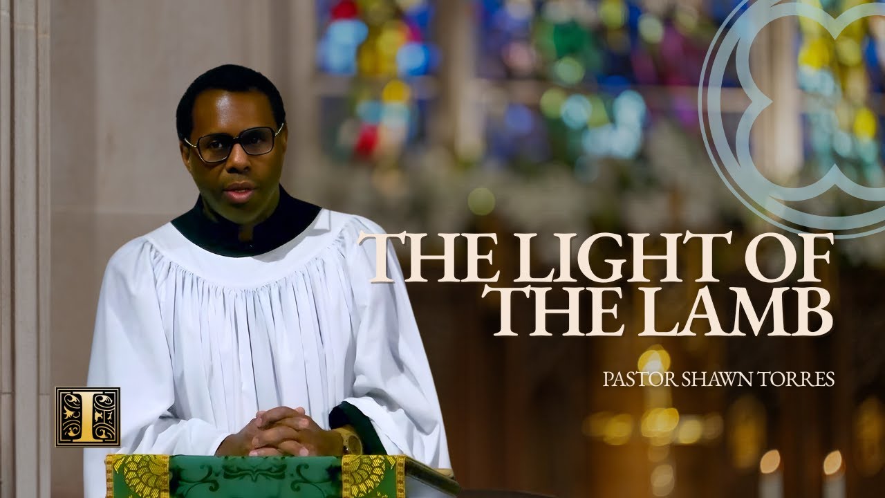 You Are Called to Shine the Light of the Lamb | John 1 & Isaiah 49
