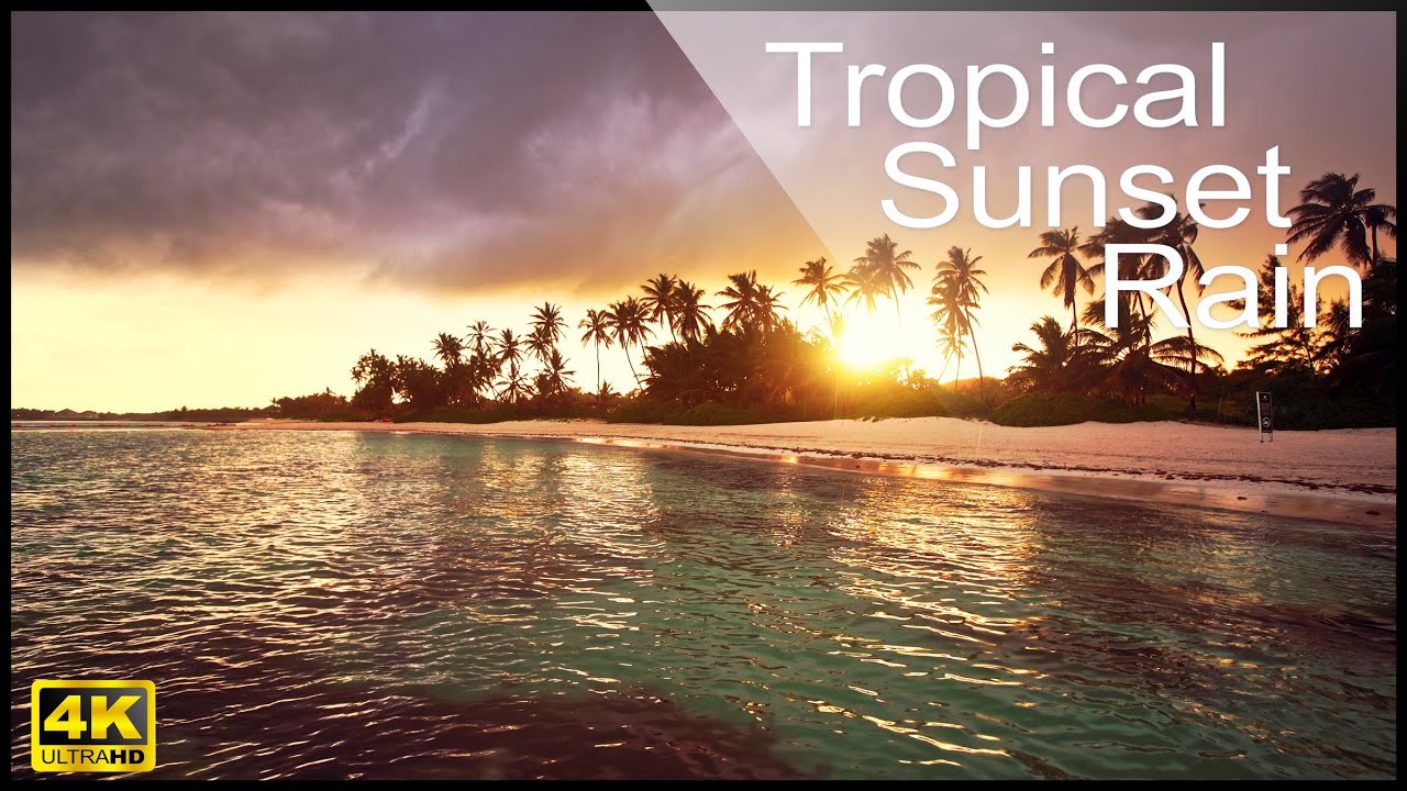 4K Tropical Sunset Rain & Relaxing Ocean Waves Sounds. Nature Video for relax, stress, study, sleep.