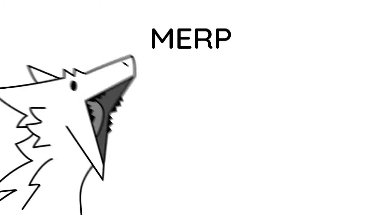 Merp 24/7