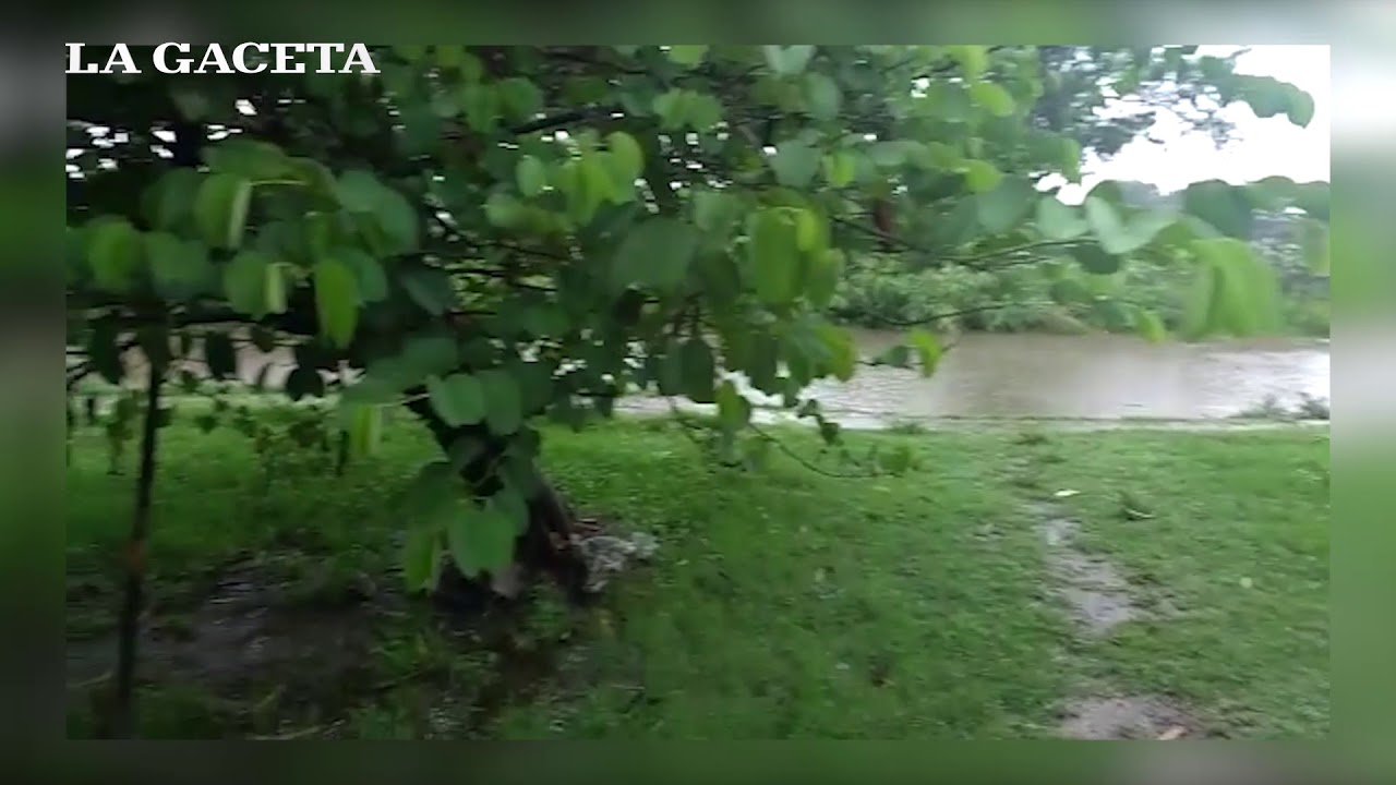 Calles anegadas, &aacute;rboles ca&iacute;dos y cortes de luz tras el temporal