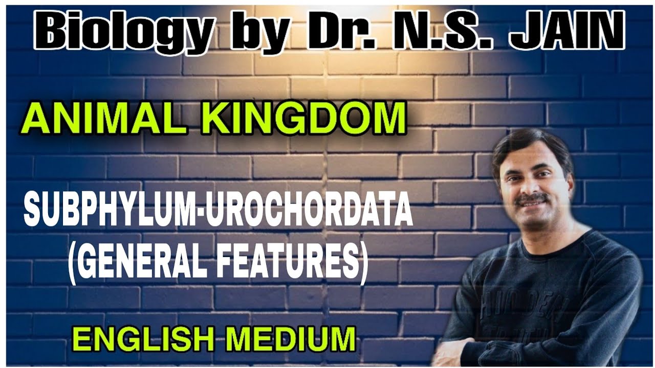 Subphylum-Urochordata (General Features) Animal Kingdom | English Medium