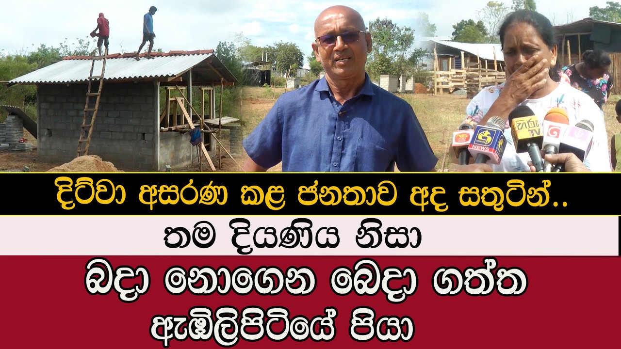 බදා නොගෙන බෙදා ගත්ත ඇඹිලිපිටියේ පියා #mojonewslk #trending #Ambilipitiya