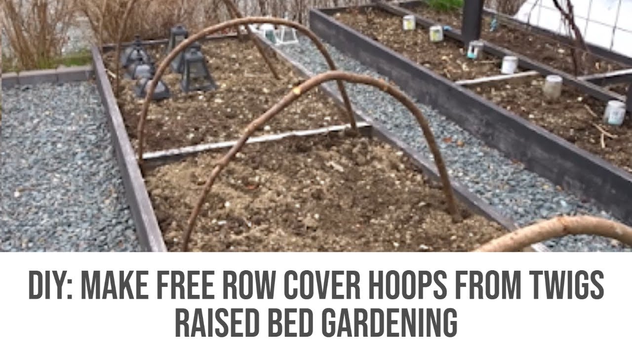 DIY: Make Free Row Cover Hoops From Twigs | Raised Beds | Newfoundland Gardening
