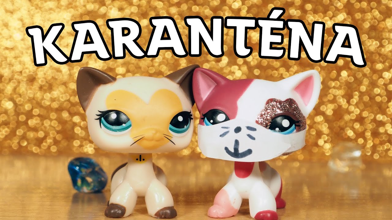 LPS Co dělat během karantény | Amálka LPS