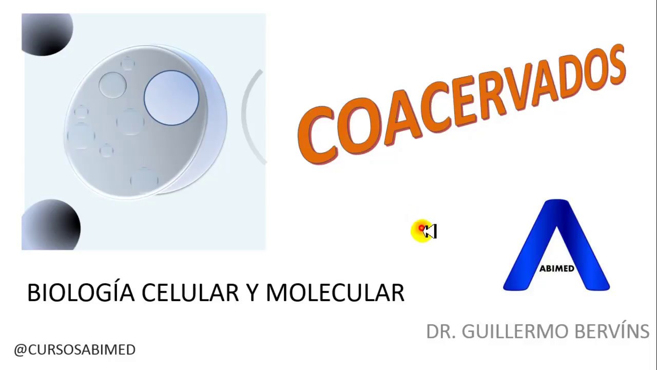 ¿Qué son los Coacervados? l Biología Celular y Molecular