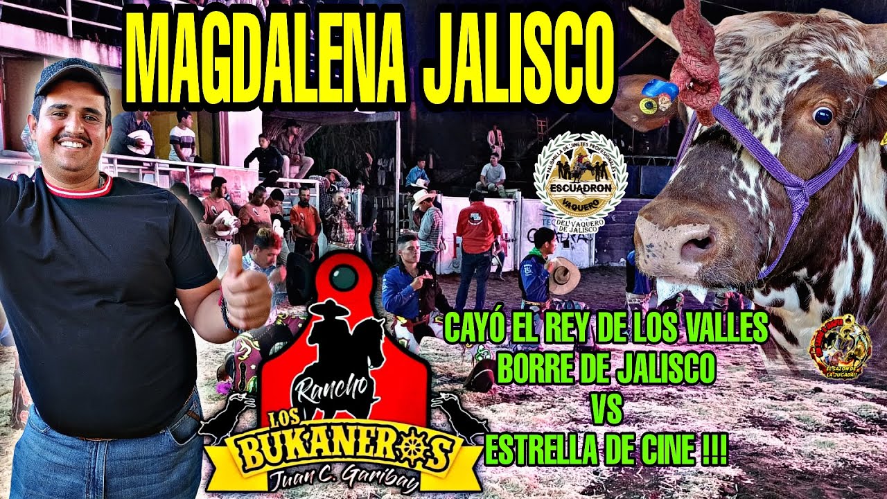 ♦️CAYÓ EL REY DE LOS VALLES, BORRE DE JALISCO♦️ RANCHO LOS BUKANEROS EN MAGDALENA JALISCO JARIPEYON🔥