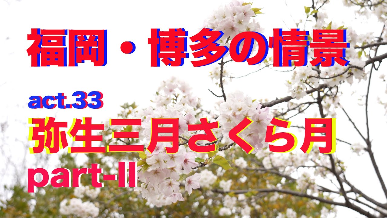 【4k】福岡・博多の情景 act.33・・・SONY &alpha;-7IVで捉えた『弥生三月さくら月』part-II