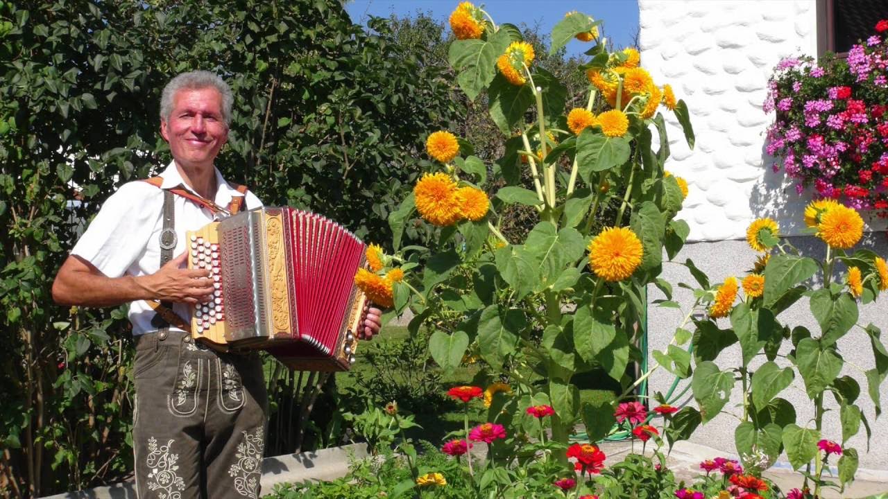 Fuchsgraben - Polka  auf der Steirischen von Gottfried Kletzmair ( F-B-Es-As )