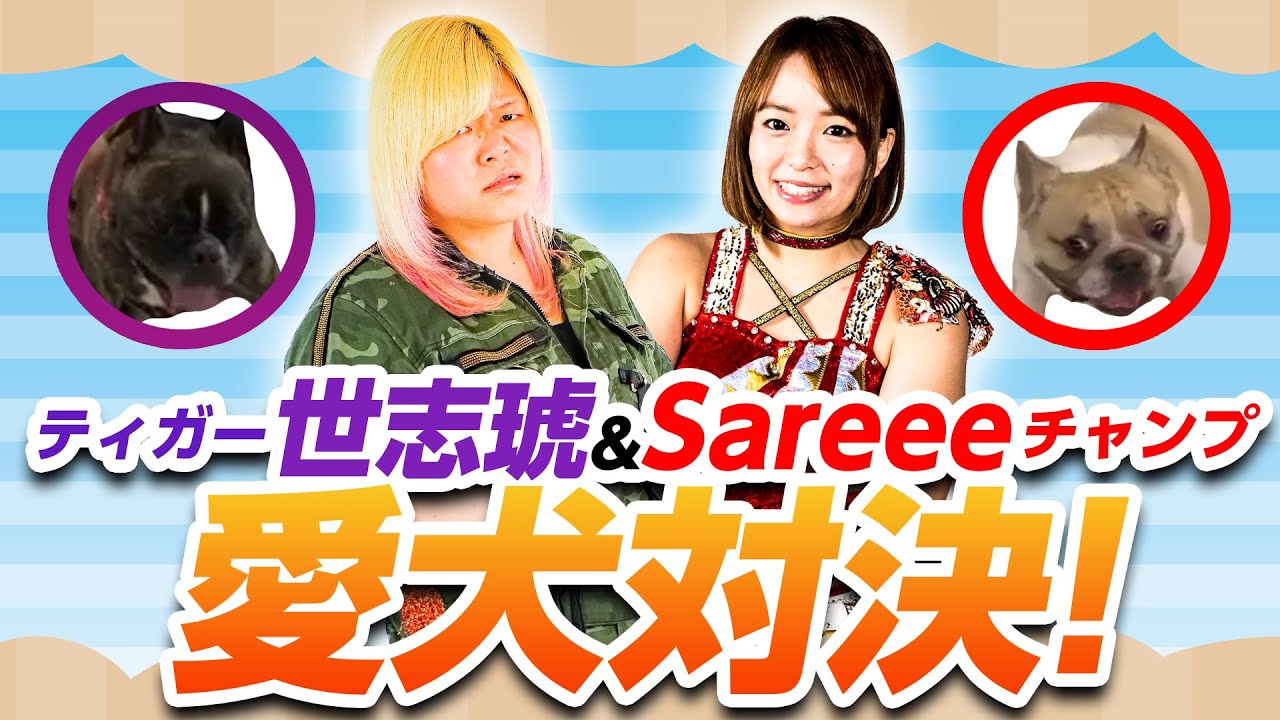 世志琥&Sareee・愛犬もタッグ結成！？10.20に向けて合同練習！