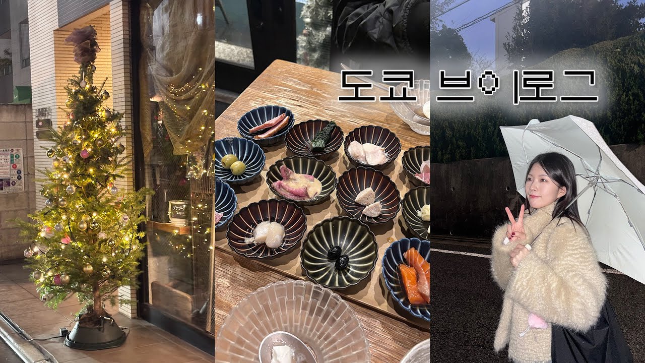 도쿄 일상 브이로그 ᵔᴥᵔ 𝅘𝅥𝅯 연말연시의 기록 ꔚ Tokyo Vlog