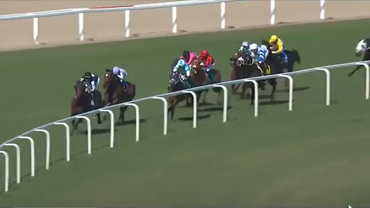 R7 GULFSTREAM PARK USA 24 JAN 2026