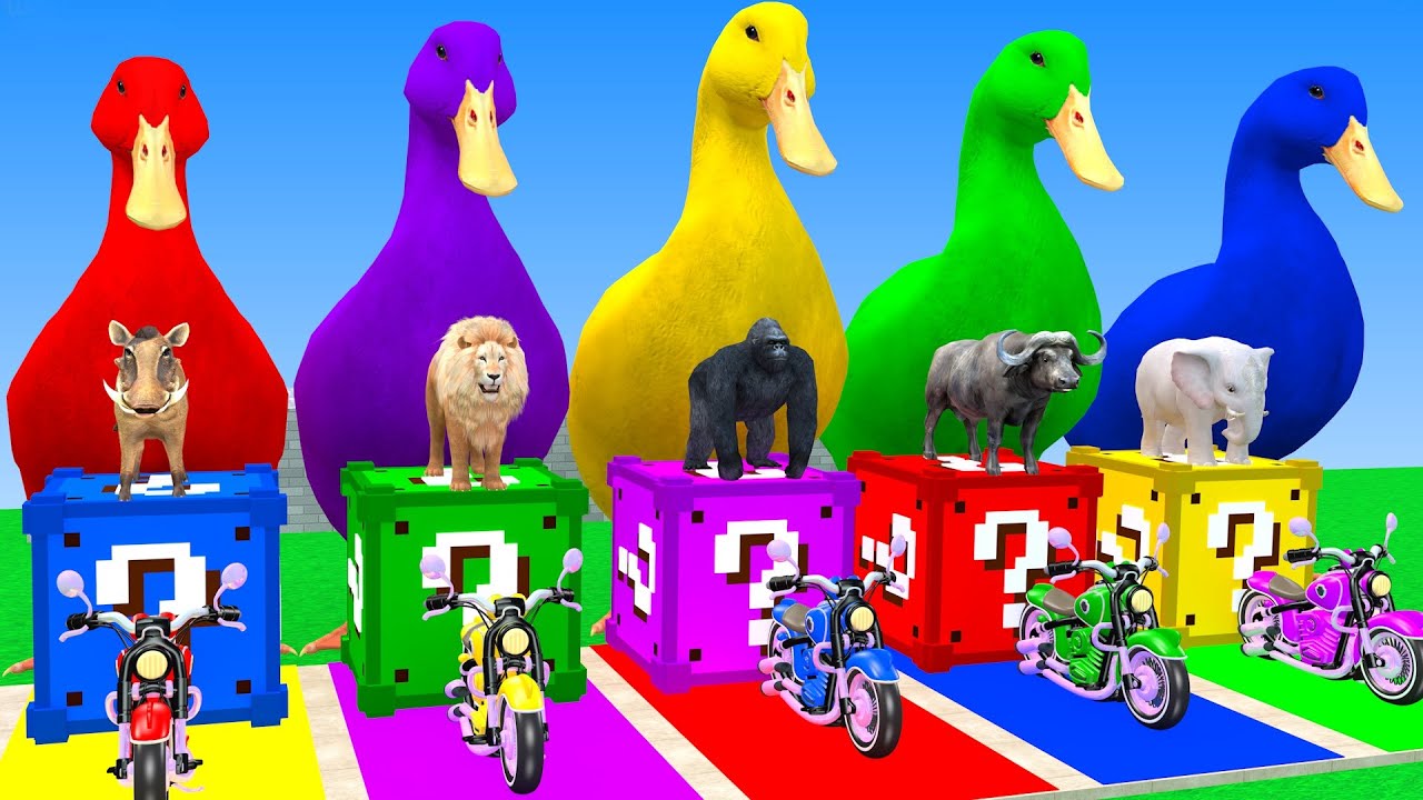 Long Slide Game With Elephant Gorilla Buffalo Hippopotamus Tiger 3d Animal Game Funny 3d Animals