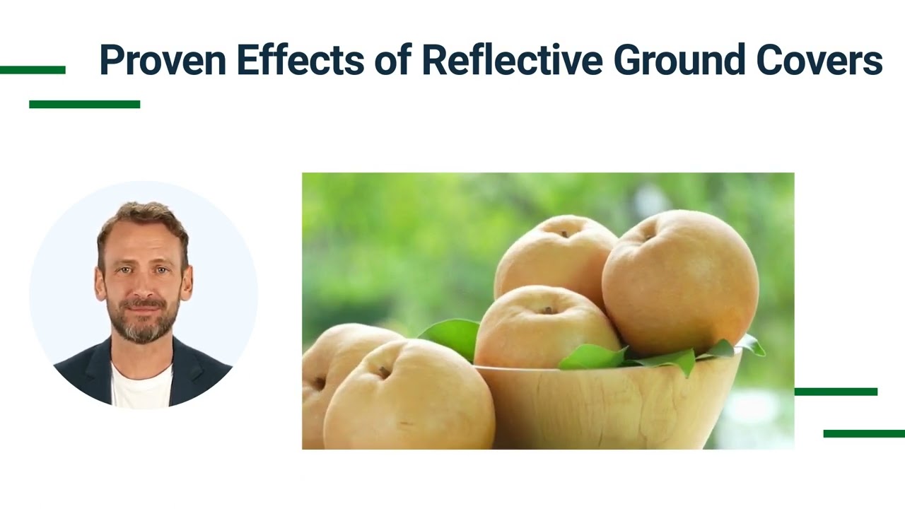 Reflective Ground Covers for Improved Crop Quality
