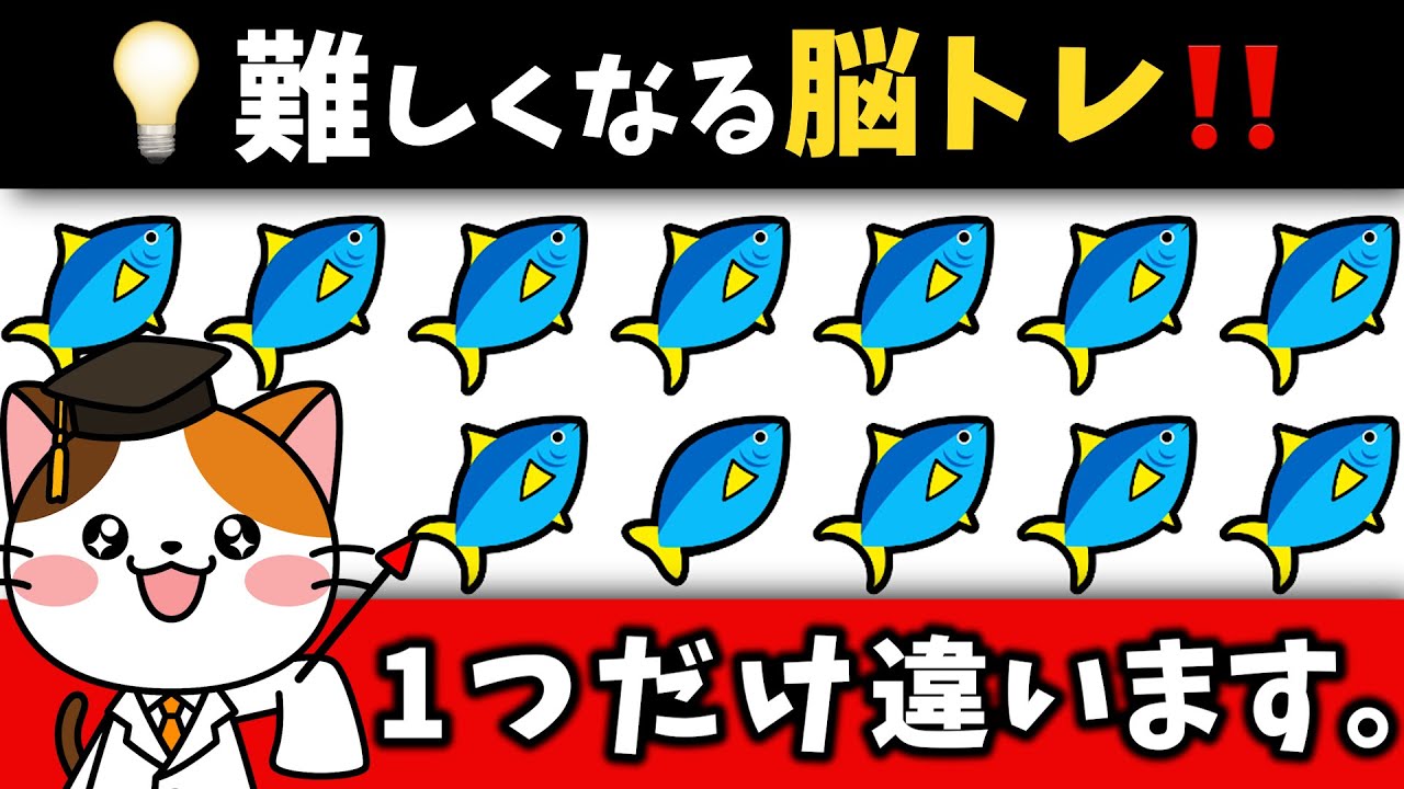 🐟色んな脳トレで頭をフル活用！全部できたらスゴイ！？【海鮮市場編】