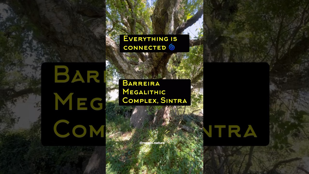 Everything is connected: A hidden gem at a magical megalithic site in Portugal. 🌀
