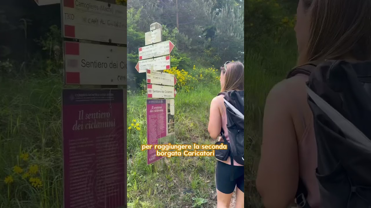 Il sentiero dei ciclamini #viaggiare #piemonte #trekking