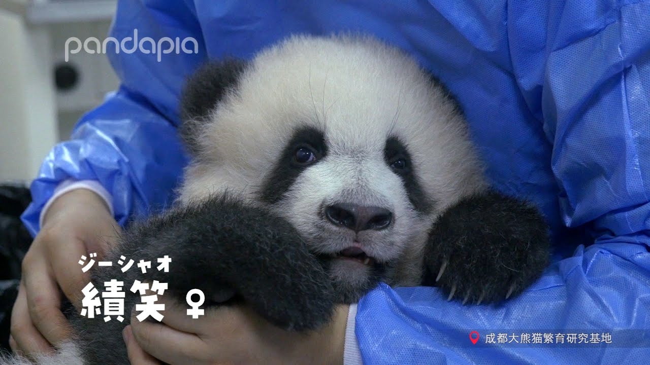 じっとしててね