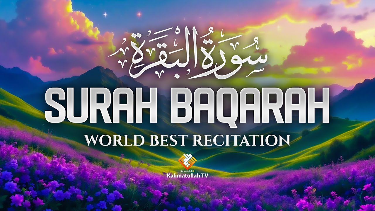 Surah Al-Baqarah Complete Recitation | Soul-Calming & Heart-Touching Quran Tilawat