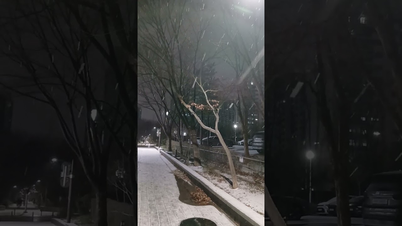 눈오는 퇴근길