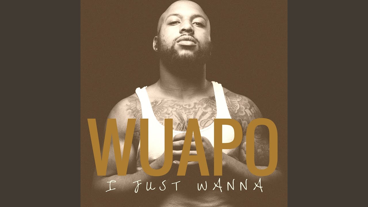 I Just Wanna