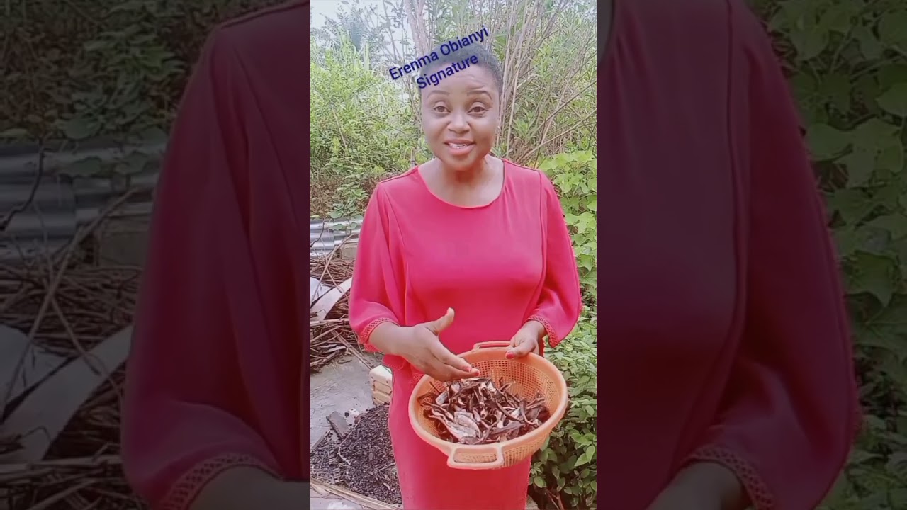 How to maximize plantain peel health benefits | Healthy Living -Fight Back With Food.