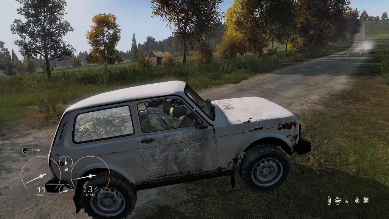 DayZ_20260102172351