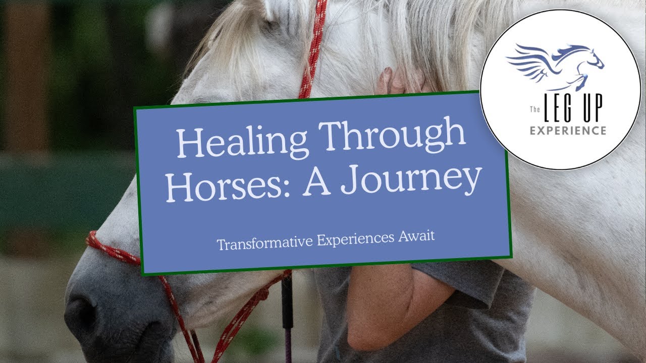From Guarded to Grounded: Healing Through Horses