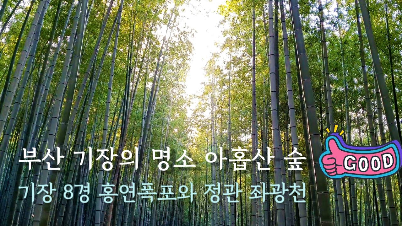 Busan Guide/Korea/부산 기장의 명소 아홉산 숲과 홍연폭포 그리고 정관 신도시