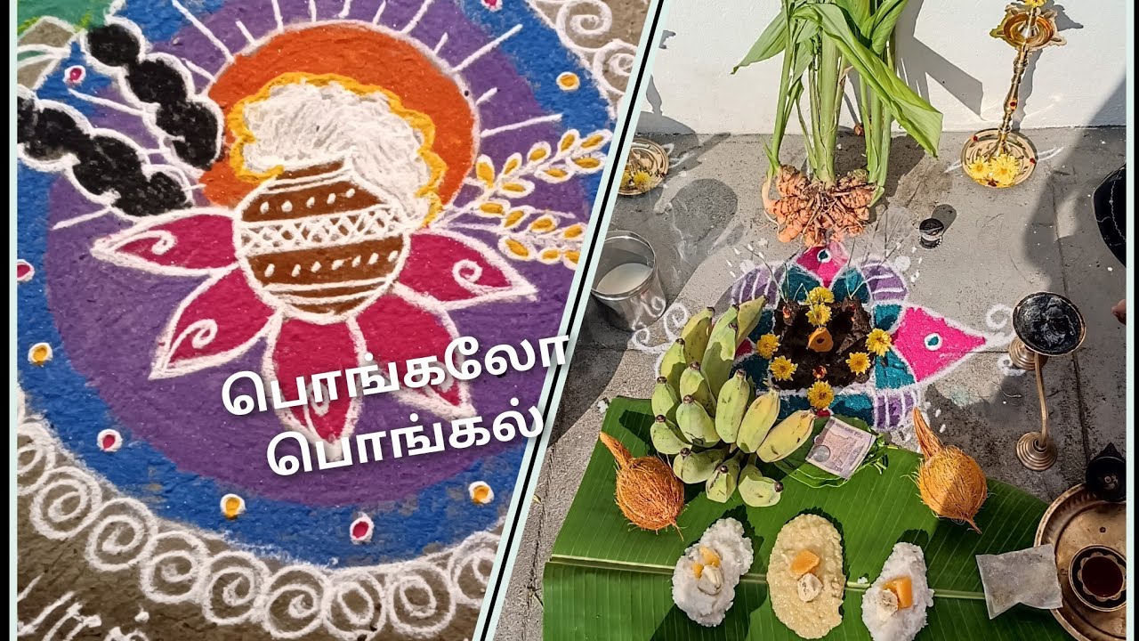 எங்களுடைய பொங்கல்  celebration 🤗🌾🌱//தை 1 //@rainbowchannel2335