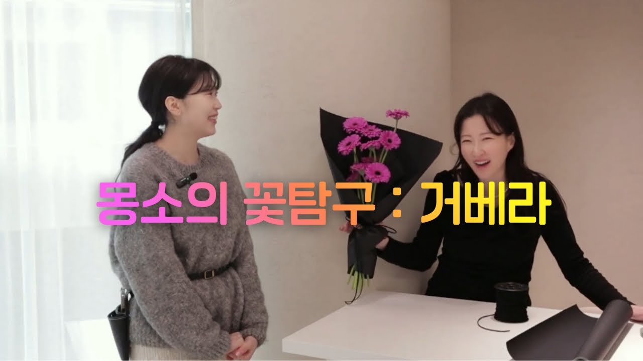ep.02 흑심 거베라 | 몽소의 꽃탐구 | 거베라 포장법