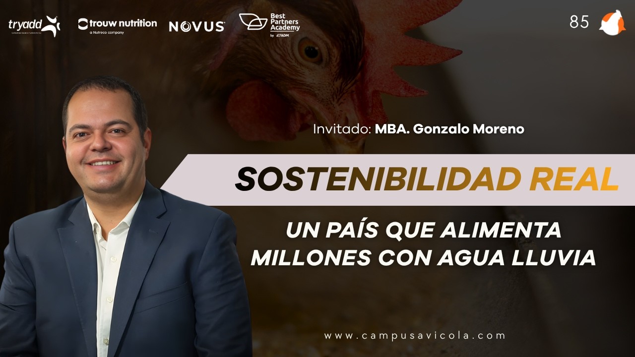 #85 - Sostenibilidad real: Un país que alimenta millones con agua lluvia - MBA. Gonzalo Moreno