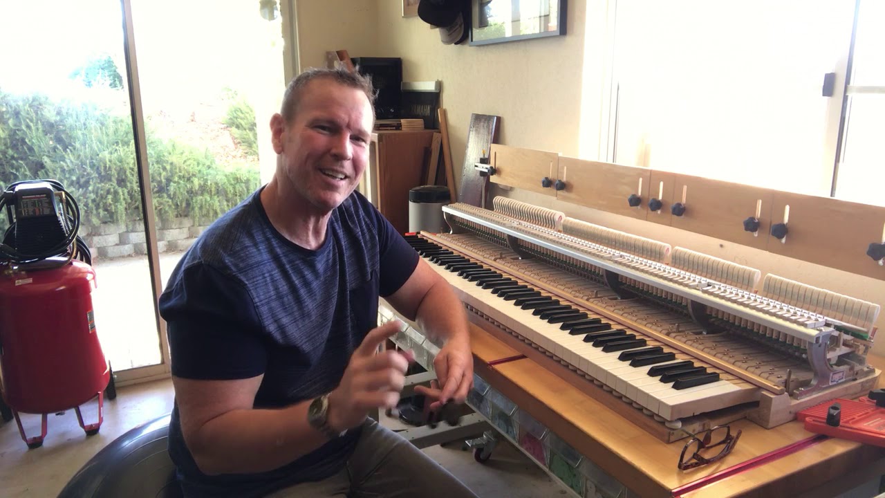 Taking care of the Grand Piano Action