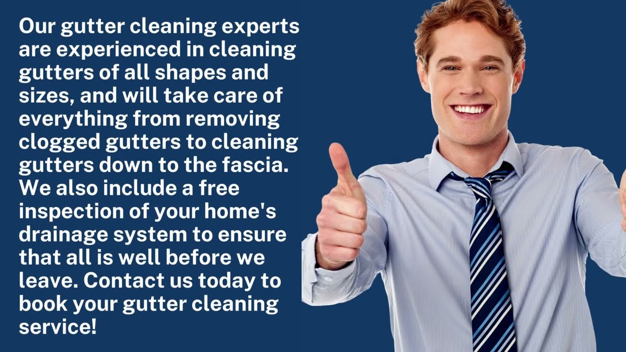 Gutter Cleaning Bellevue - Our Expertise & Services