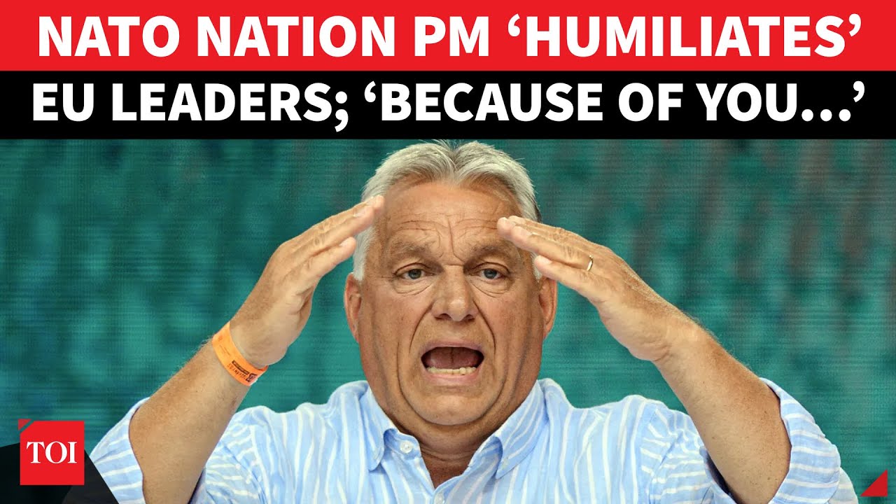 ‘You Fools, Because Of Your…’: NATO Nation PM ‘Humiliates’ Own EU Allies Over Russia Stand