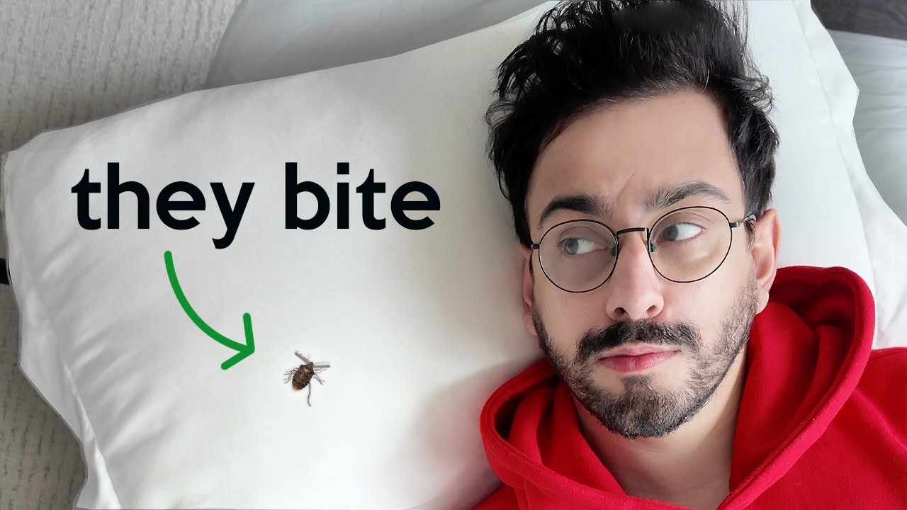 I got attacked by bed bugs in Paris