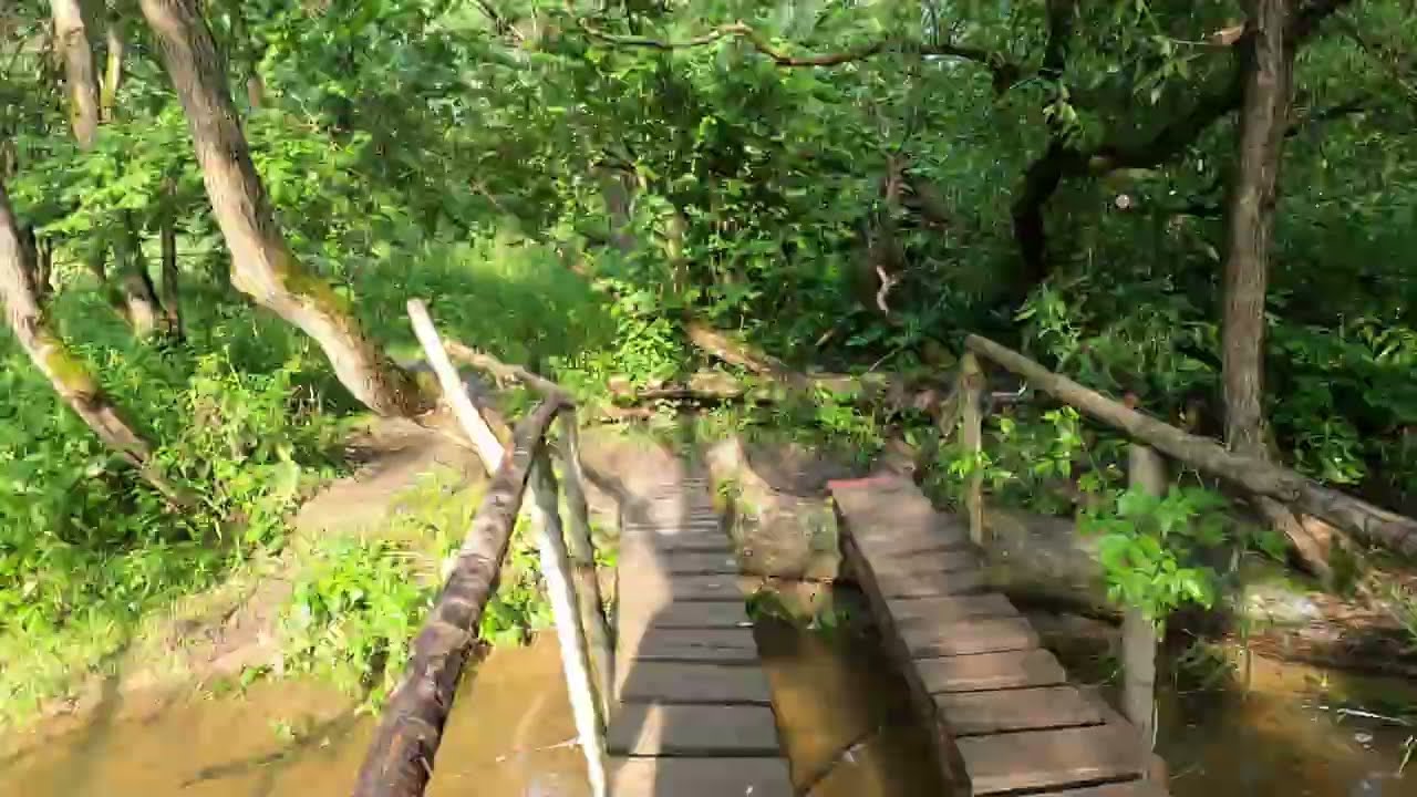 Grivno - Podolsk 2025 cross country run