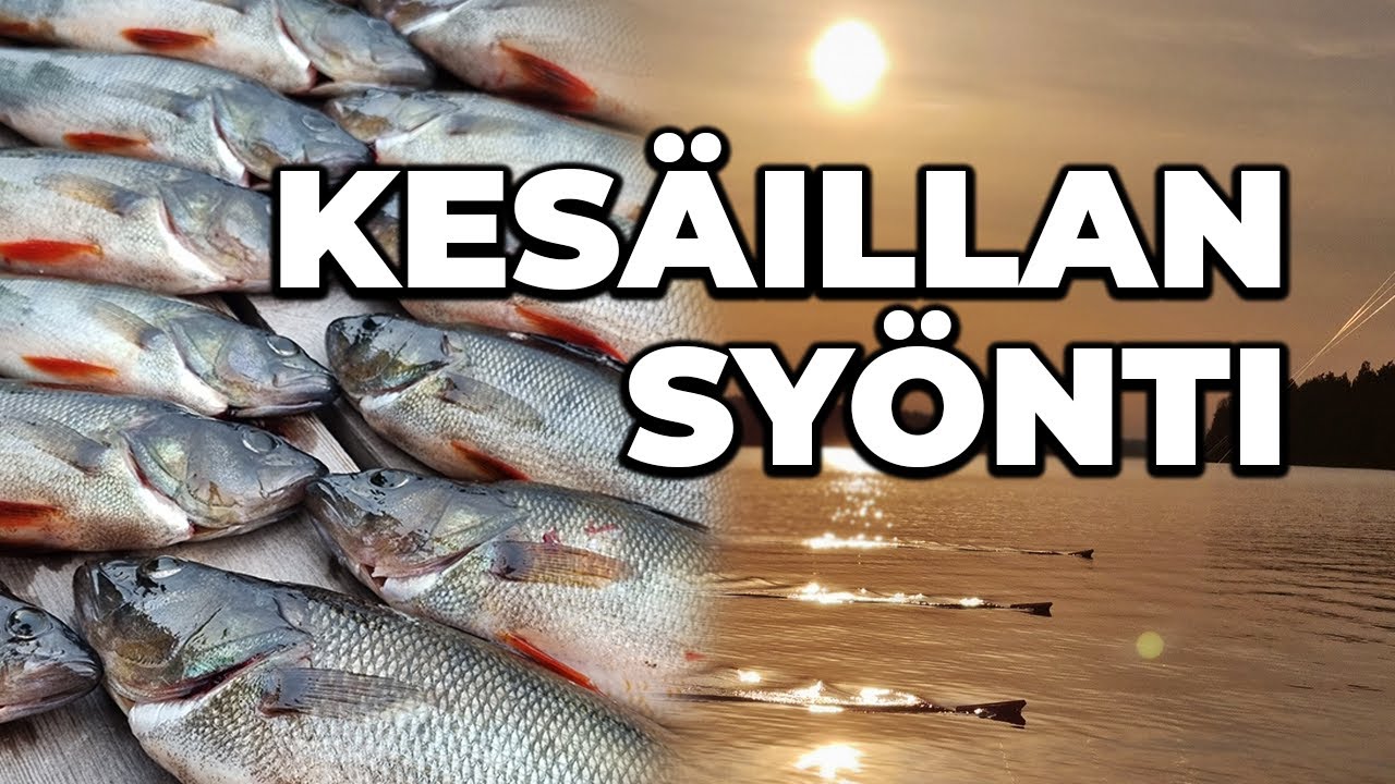 AHVENTA JA KUHAA UISTELLEN PIHLAJAVEDELLÄ | KOMEA HEINÄKUINEN ILTA