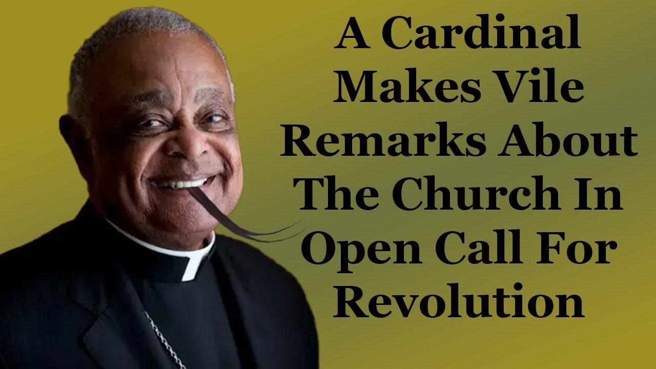 A Cardinal Makes Vile Remarks About The Church In Open Call For Revolution