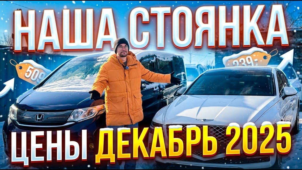 ОБЗОР СТОЯНКИ! Цены ДЕКАБРЬ 2025