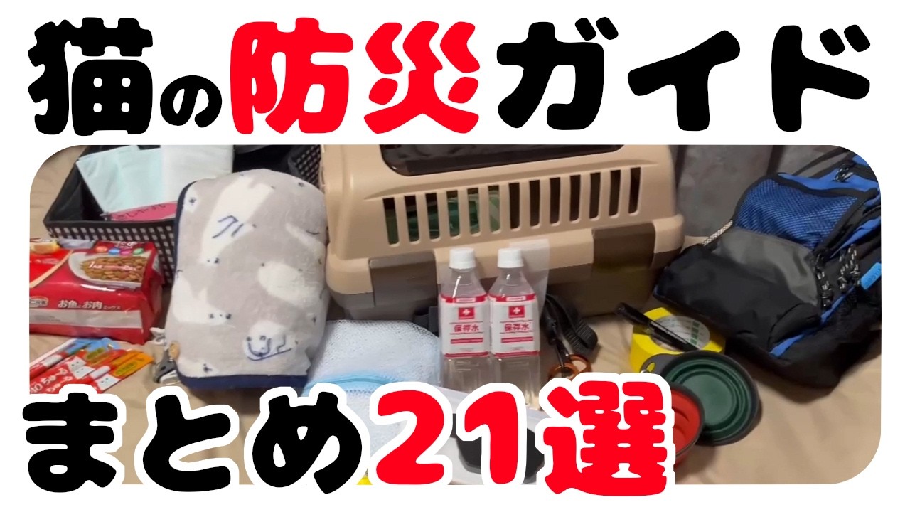 【猫の雑学】これないと守れません！猫を守る防災のヒント【100均でもOK】