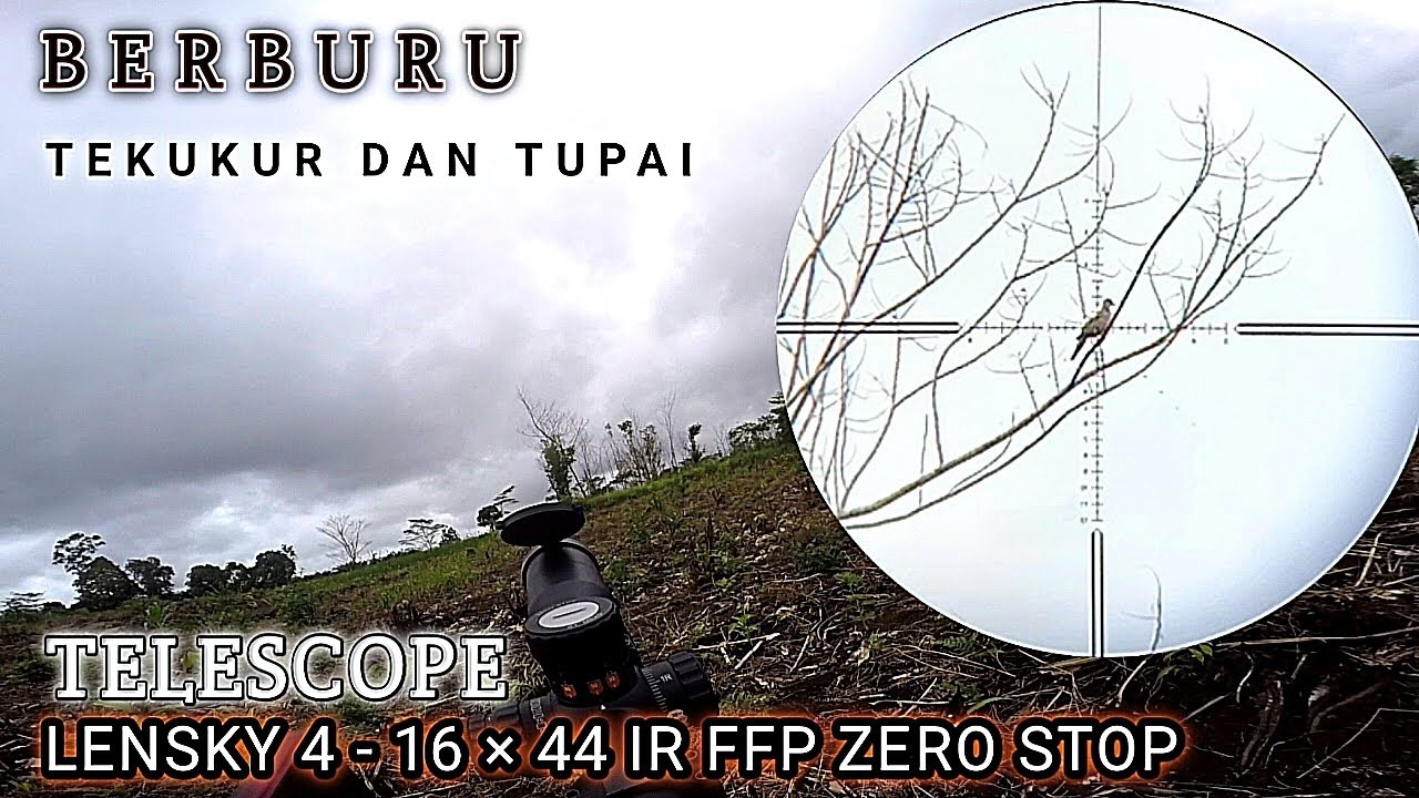 Berburu Tekukur Dan Tupai Menggunakan Teleskop LENSKY 4-16×44 IR FFP