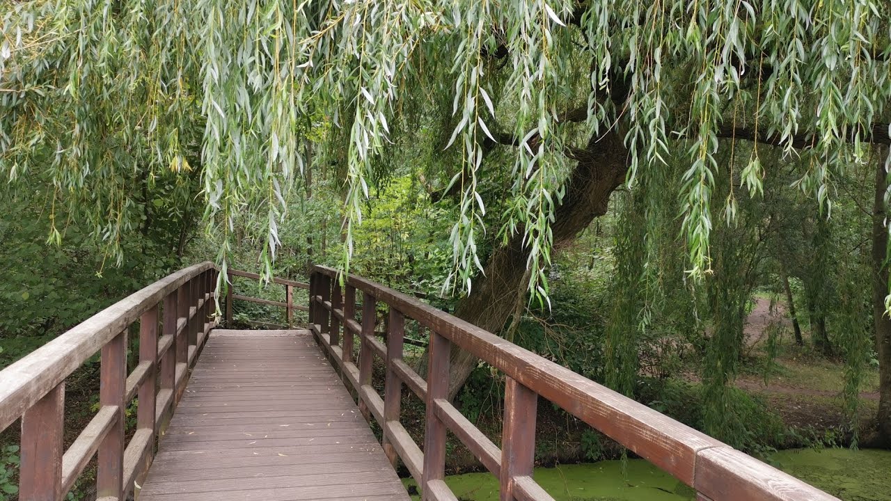 Rundwanderung im Naturschutzgebiet Krickenbecker Seen