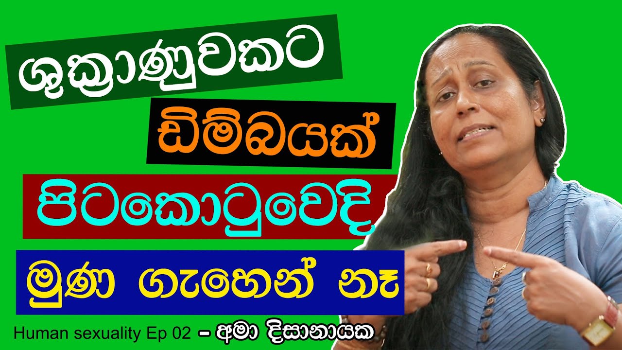 ශුක්&zwj;රාණුවකට ඩිම්බයක් පිටකොටුවෙදි මුණ ගැහෙන් නෑ Ama Dissanayake